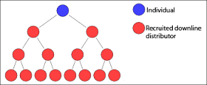 MLM STRUCTURE