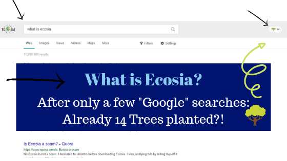 is ecosia a scam or legit