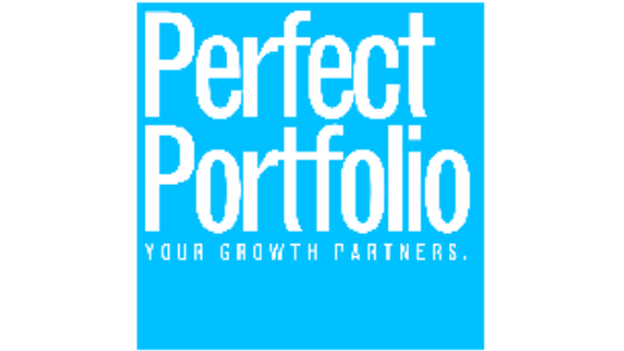 perfect portfolio LLC review