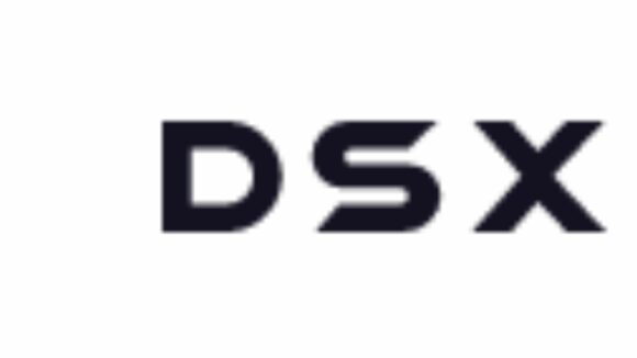 what is dsx global?